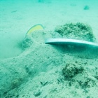 Přednáška Jak bezpečně kotvit 5.5.2026